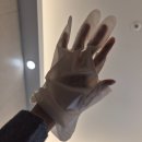 동물친구들 애견미용실 | [외대/이문동] 외대 애견동반 헤드스파 클리닉 맛집 미용실 | 무디헤어 솔직후기