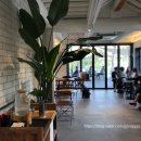 오월cafe카페