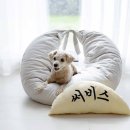 라마다프라자제주호텔 이미지