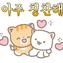 BK카크리닉 이미지