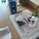 옥천동물병원 | “옥천 반려견, 밤새 떨리던 숨… 산소방 설치 후 되찾은 첫 평온한 호흡”