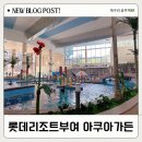 부여아이와갈만한곳 롯데리조트아쿠아가든 준비물 할인정보 (feat. 11살, 8살과 함께 간 내돈내산 후기)
