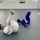 아트 유도 이미지