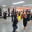 태권도 한국체육관 이미지