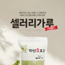 자연애보감