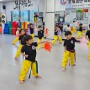 용인대 도담 태권도장 이미지