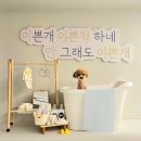 하늘이네 애견 미용 이미지
