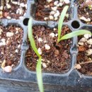 충호농장 이미지