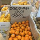 주니청과 이미지