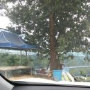 오계리농장 이미지