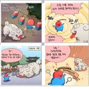 바로정보