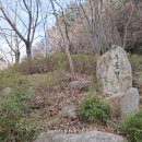 부산해운대구 장산누리길 주봉 이미지