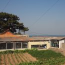 나정1리 이미지