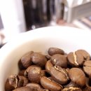 달콤피시 이미지