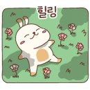 비건체험학습