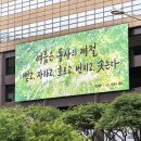 태수아쿠아 | Summer scene