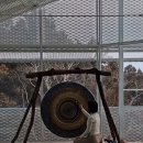 안덕면 명상 이미지