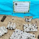 북서울꿈의숲(상상톡톡미술관) 이미지