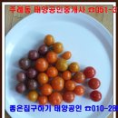 주례현대무지개상가 이미지