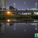 증산2교밑 이미지