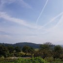 강상우체국 이미지