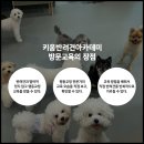 우정유치원 이미지