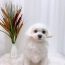 멍앤리치 이미지