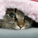 국립국악고등학교 이미지