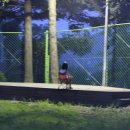 서후리 캠핑장 이미지