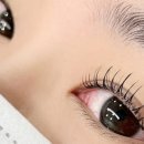 한올한올 눈썹, 속눈썹 주엽점 이미지