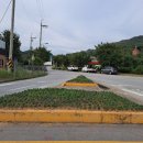 주유소꽃길 이미지