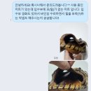 구보타 | 구보타 포수미트 수리 후기 (feat. 가족베이스볼)