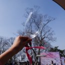 게임플라자 남산서울타워점 | 2026 서울 남산타워 남산 와인 페어 후기 (+준비물, 꿀팁)