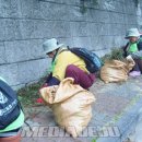 서홍동주민센터 이미지