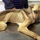 (주)노즈워크 이미지