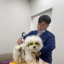 위런한방재활동물병원 이미지