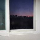 창문사 앞 | [방묘창] 고양이 방묘창 안전방충망 내돈내산 후기 (창테크) + 사용후기 추가