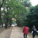 남한강 황토불 한증막 이미지