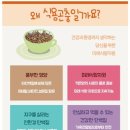 미래식량산업영농조합법인 이미지