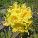 부리농장 이미지