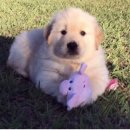 몽글몽글 이미지