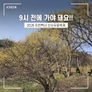 [마을배움터] 라인댄스 | [경기도 여행] 이천 산수유마을 산수유 축제 2026 일정 주차 실시간 개화 상황