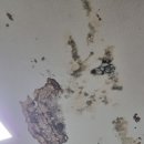 수문길 | 갑자기 온수 안 나와서 알게 된 강릉누수 후기