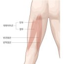 라이트 GYM 이미지