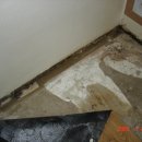 아파트 베란다 마루 바닥이 썩는이유? 이미지