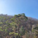 수목농장 이미지