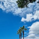 나포리호텔 이미지