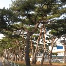 강남중학교 - 동작구 | 강남중학교