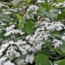 대일고등학교 이미지