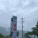 금산송어회집